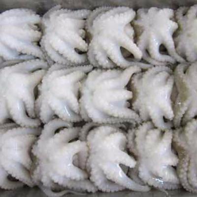 China Frozen octopus 40-60 vulgaris with good price 40-60 for sale