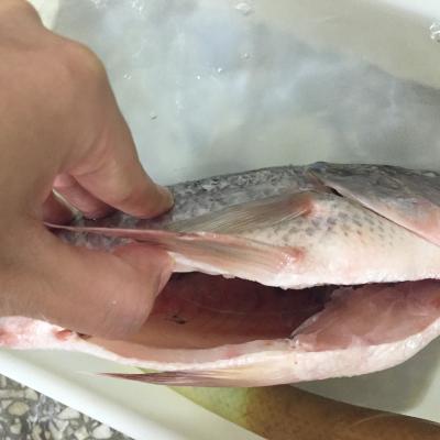 China Wholesale FROZEN 300-500 Whole Clean Clean Tilapia Price For Sale for sale