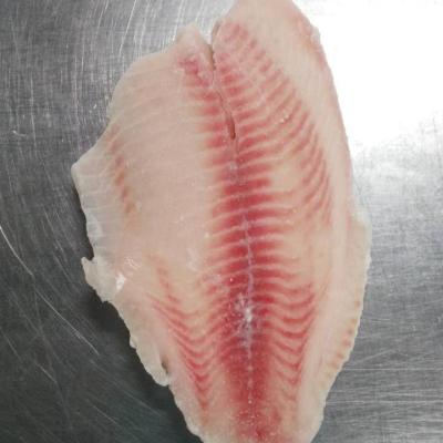 China NATURE frozen tilapia fish tie wholesale price on sale for sale