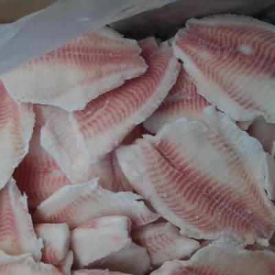 China Frozen price FROZEN china tilapia fillet tilapia fillet for sale