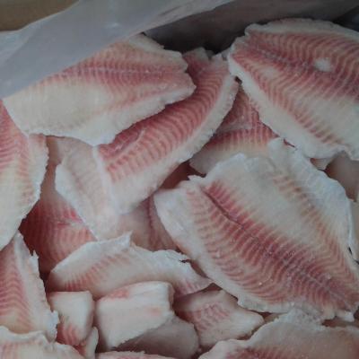 China NATURE Frozen Tilapia Fillet Tilapia Fillets Red Fish for sale