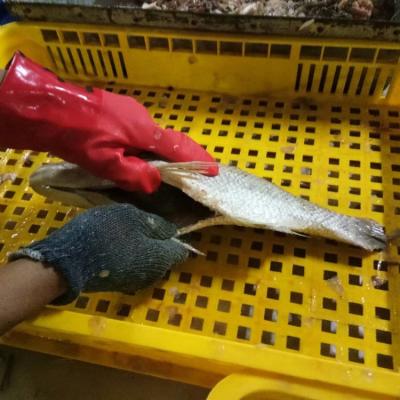 China NATURE Frozen Whole Fish Exporter Fresh Emperor Fish for sale