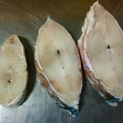 China NATURE IQF Frozen Parrot Fish Steak Price for sale