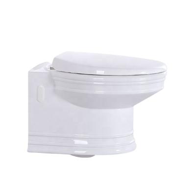 China Chaozhou Factory Washdown Wall Double-flush Vieany Brand Sanitary Ware Hung Toilet OK-0202 for sale