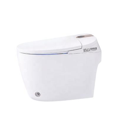 China European Modern Automatic Bidet Toilet Double-Flow Sanitaryware Intelligent Automatic Flushing Smart Toilet for sale