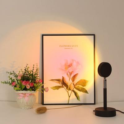 China Lighting Works 2021 Amazon Product High Quality Hot Selling Aluminum Alloy Sunset Spotlight Lamp With 4 Colors Changeable Light for sale