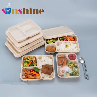 China Biodegradable Sinshine Disposable Paper Pulp Tableware Eco - Friendly Sugar Cane Sustainable Bagasse for sale