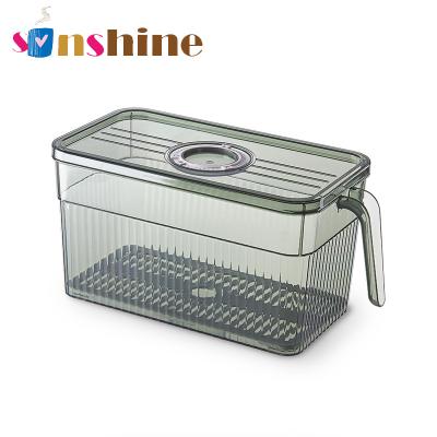 China High Quality Freshness Keeping Sinshine Transparent Kitchen Refrigerator Storage Rectangle Classify Plastic Storage Box With Lid for sale