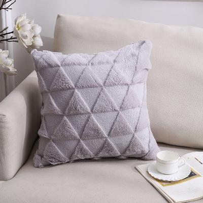 China Anti-Static Plush Style Home Sofa Office Pillowcase Cushion Cover Nordic Double Sided Ins Style Pillow Case Soft Plush Pillowcase for sale