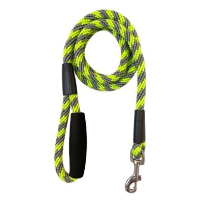 China Durable Well Designed Sturdy Material Posyester Leash Dog Collar With Thoughtful Hardware for sale