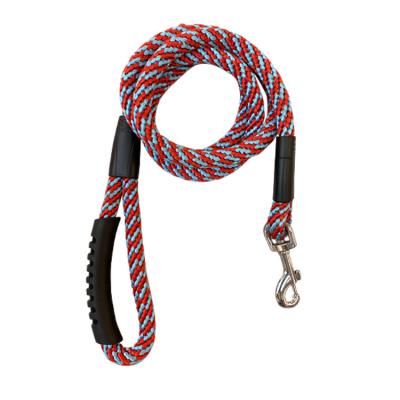 China Viable Cheap Woven Material China Posyester Dog Leash With Thoughtful Material for sale