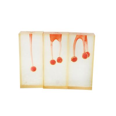 Китай Clinic Hospital Dental Teaching Products Dental Training Tooth Endodontic Root Canal Model 3pcs/set продается