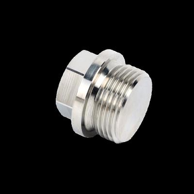 China Hot Sale Industry M10 304 Stainless Steel Hex Head Pipe Plugs DIN910 for sale