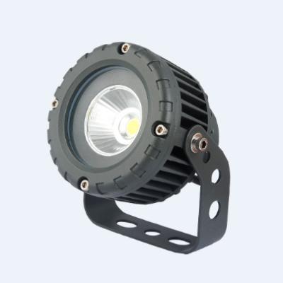 Chine Lumières extérieures de jardin de l'ÉPI IP65 LED, lumière de transitoire de jardin de 10w RVB LED à vendre