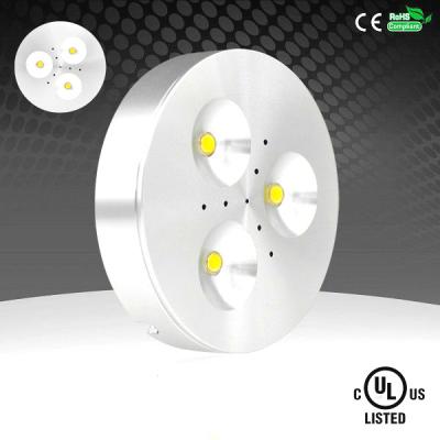 中国 3W 12V 住宅の壁の decration のための高い CRI LED の壁ランプのクリー語かエジソン 販売のため