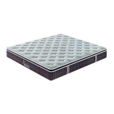 China Comfortable 13 Inch Hypoallergenic 14 Layer Euro Pocket Spring Single Density Foam Mattress Top 7 Zone for sale