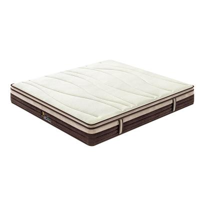 China Hypoallergenic Compression Pack 12 Inch Euro Single Bed 14 Layer Density Foam Pocket Top Box Spring for sale