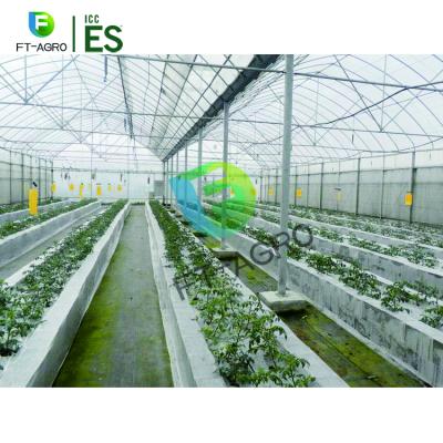 China Easily Assembled Greenhouse 2021 Sale Greenhouse With Plastic Film for sale