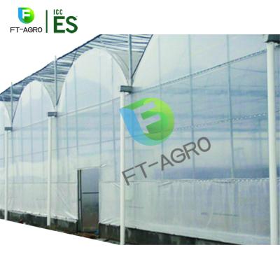 China Easily Assembled High Quality Cheap Price Agriculture Multi-Span Greenhouse Hydroponics With PO Film for sale