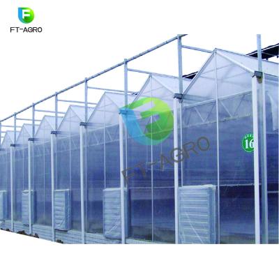 China New Low Cost Multi-span Polycarbonate PC Sheet Vegetable Flowers Fruits Covered Greenhouse For Sale for sale