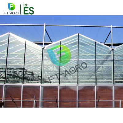 China Easily Assembled Venlo Type Commercial Glass Greenhouse Used For Sale for sale