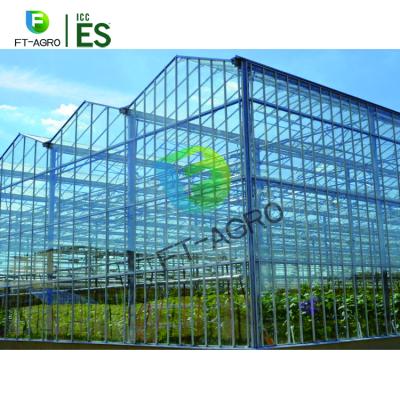 China New condition china supplier easily assembled venlo type glass greenhouse for sale