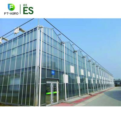 China Factory Price Long Life Use High Quality Multi Span Agriculture Easily Assembled Glass Greenhouse for sale