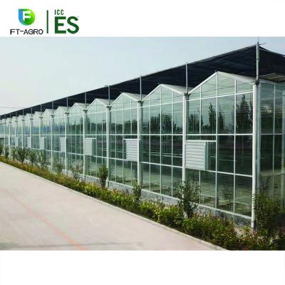 China Intelligent Control Easily Assembled Tempered Glass Greenhouse With Hydroponic Growing System for sale