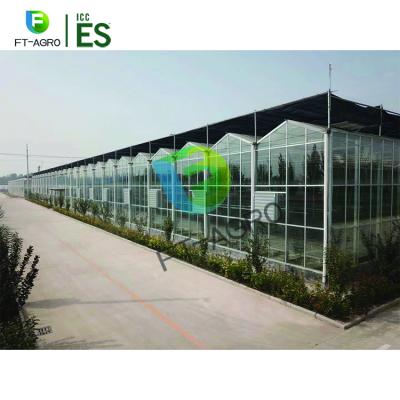 China Easily Assembled Hot Dipped Galvanized Pipe Tempered Glass Greenhouse Factory Price for sale