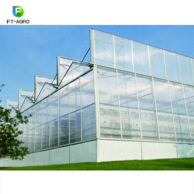 China Chinese Poly Sheet Cucumber Polycarbonate Sheet Greenhouse for sale