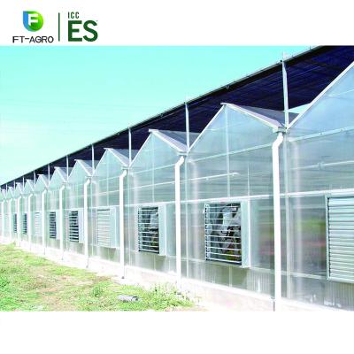 China Easily Assembled Agricultural Type 100x8m PC Sheet Greenhouses for sale