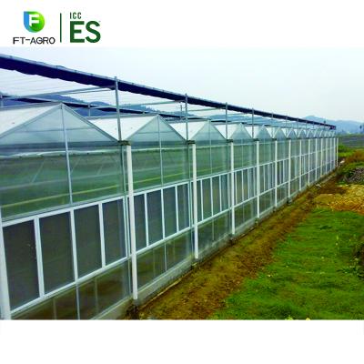 China Large Venlo PC Leaf Greenhouse Cover Easily Assembled Fan With NFT Hydroponics System for sale