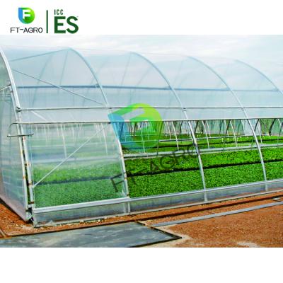 China Easily Assembled Single Tunnel PO Film Span Greenhouse For Tomato Planting for sale