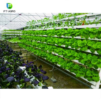 China Greenhouse Supplier Easily Assembled Hydroponic Growing Systems For Plant Growth for sale