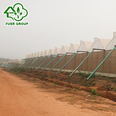 China Easily Assembled Tropical Area Use Galvanized Steel Frame Africa Greenhouse for sale