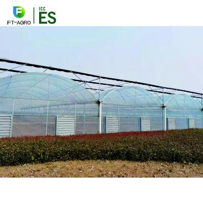 China PO tropical greenhouse for hot regions for sale