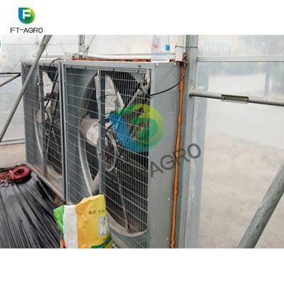 China Farm Fan Cooling Pad Cooling System For Greenhouse Climate Control for sale