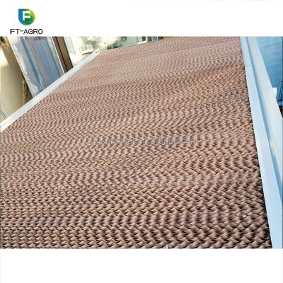 China High Quality Environmental Protection Evaporative Cooling Pad For Agriculture Greenhouse for sale