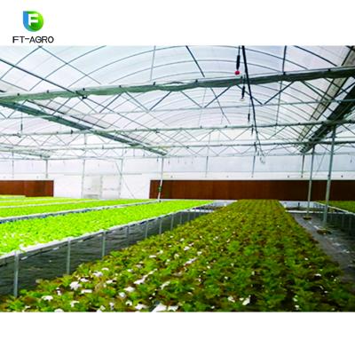 China Environmental Protection Greenhouse Use Evaporative Cooling Pad For Temperature Control for sale