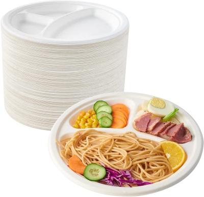 China High Quality Disposable 3 Compartment Disposable Sugar Cane Paper Pulp Compostable Dish for sale