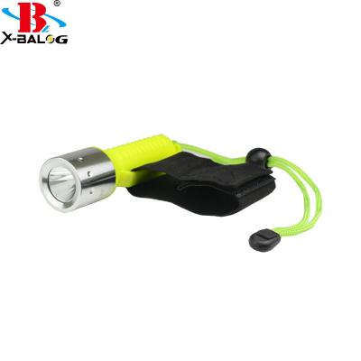 China Good Quality Wholesale Hot Selling Camping Diving Flashlights LED Torch Light With Factory Price for sale