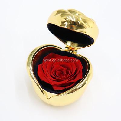 China 2021 Real Roses Durable Preserved Romantic New 25pcs Valentine Gift Eternal Forever Flower Amazon Rose Success Acrylic Jewelry Boxes for sale