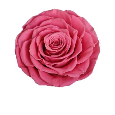 China Real Customized Natural Preserved Romantic Preserved Rose Roses Long Lasting Color 9-10cm Large For Event for sale