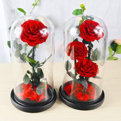 China Factory Wholesale 2021 Natur Roses A Grade Immortal Eternal Roses Forever Long Stem Flower Glass Cover Roses Preserved In Dome for sale