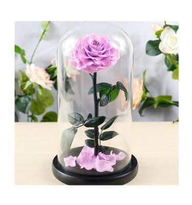 China Natur Amazone roses 2021 wholesale hot sale rosa en cupula de vidrio preserved rose glass dome preserved rose glass for sale