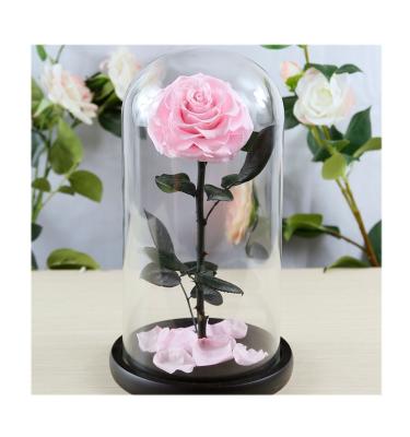 China Natur Roses China Supplier Plastic Stems For Preserved Roses For Valentine Roses Glass for sale