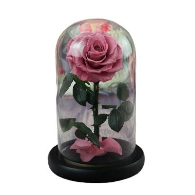 China Natur Roses Beauty And Beast Rose In Glass Gift Love Roses In Glass Tube Led Light Glass Flower Rose for sale