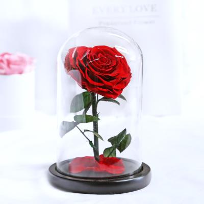 China Home Glass Dome Beautiful Enchanted Preserved Forever Decor Valentines Day Roses/Gift 2021 Luxurious Day Gifts in Glass Dome for sale