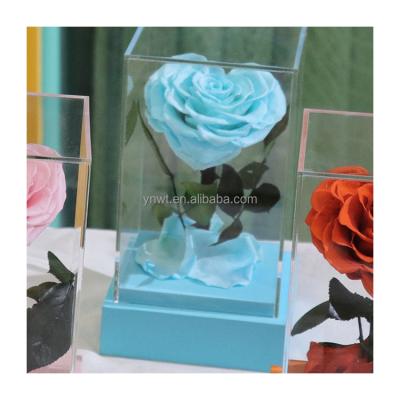 China Natural Fresh Rose With Stem Valentines Flower Natural Rose Eternal Flowers Heart Shape Preserved Gift Preserved Rose Sweet Heart for sale