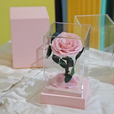 China Natural Fresh Rose With Stem Yunnan Plant Natural Hot Selling Flores Gifts Everlasting Preserved Rose Flowers In Heart Shaped Gift Box For Home Decor Luxury for sale